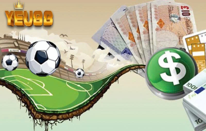 Các Câu Hỏi Thường Gặp Về Cá Cược YEU88